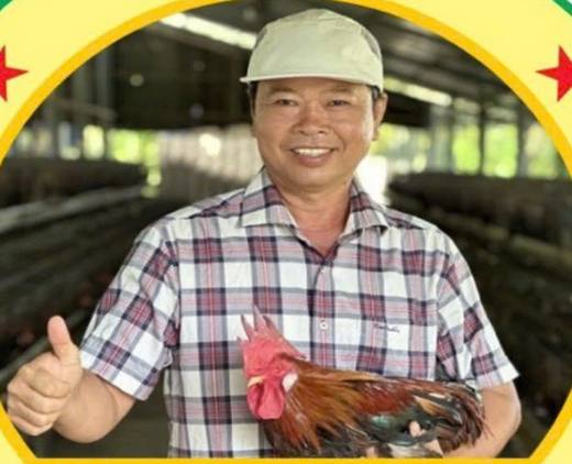Ông Dương Thanh Bình, chủ công ty