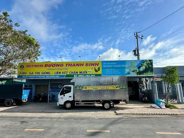Trại gà bố mẹ số 4